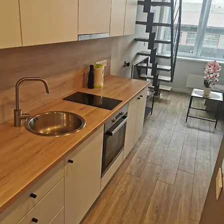 Lofto Tipo 2 Kambariu Butas *