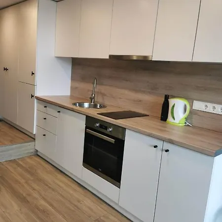 Lofto Tipo 2 Kambariu Butas *