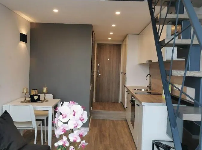 Apartment Lofto Tipo 2 Kambariu Butas *