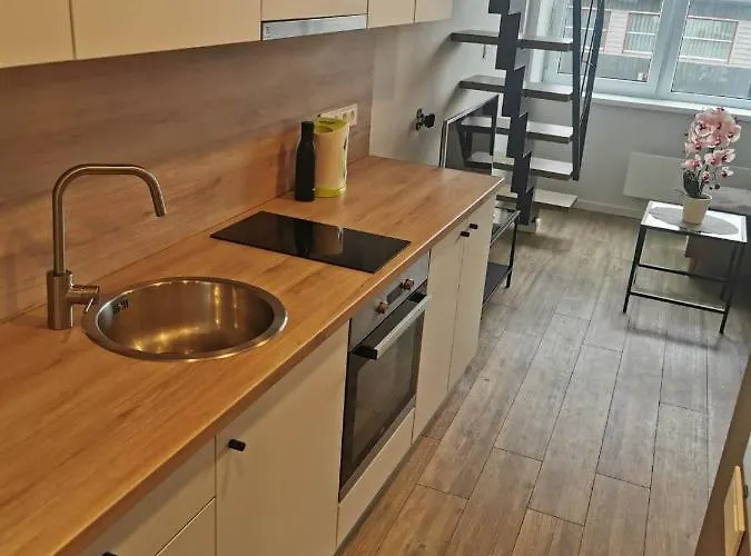 Lofto Tipo 2 Kambariu Butas *