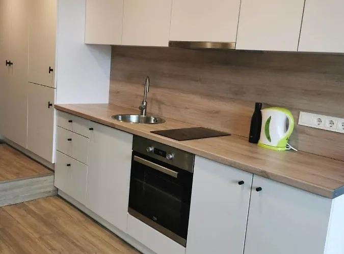 Lofto Tipo 2 Kambariu Butas *