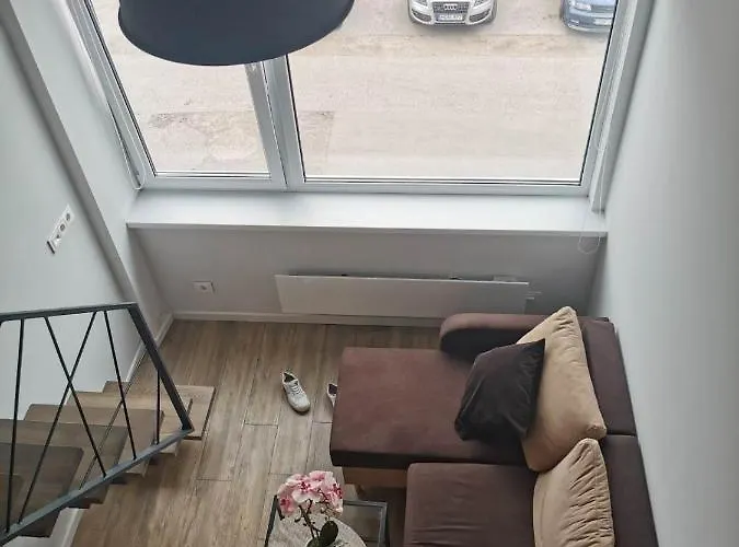 Lofto Tipo 2 Kambariu Butas Apartment