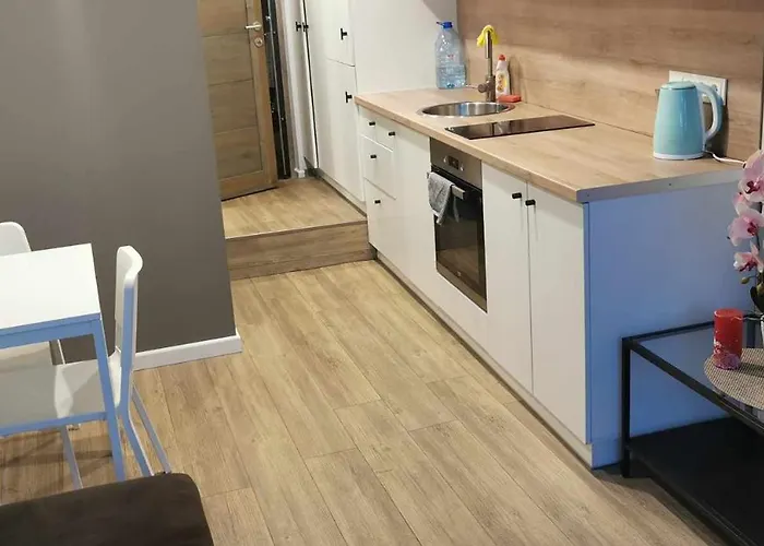 Apartment Lofto Tipo 2 Kambariu Butas Kaunas